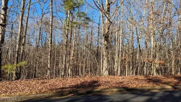 Summerfield, NC 27358,202 Hash LN