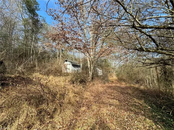 Roaring River, NC 28669,690 Annie Sophia LN