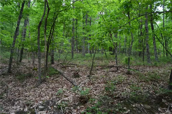 Danbury, NC 27016,00 Hanging Rock Forest RD