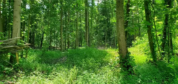 Roaring River, NC 28669,400 Mathis Mill RD