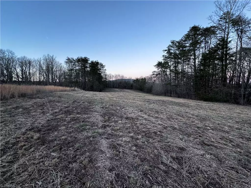 King, NC 27021,Lot 6 Johnson RD