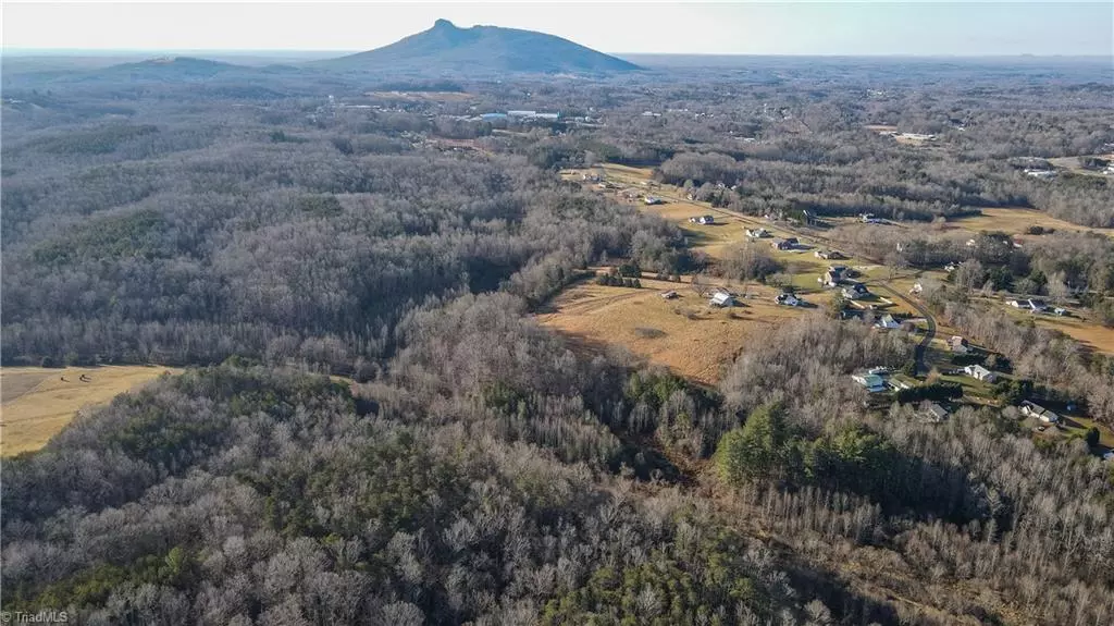 Pilot Mountain, NC 27041,00 Carson Oaks LN