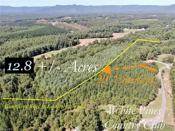 Mount Airy, NC 27030,xx George ST #12.8 Ac