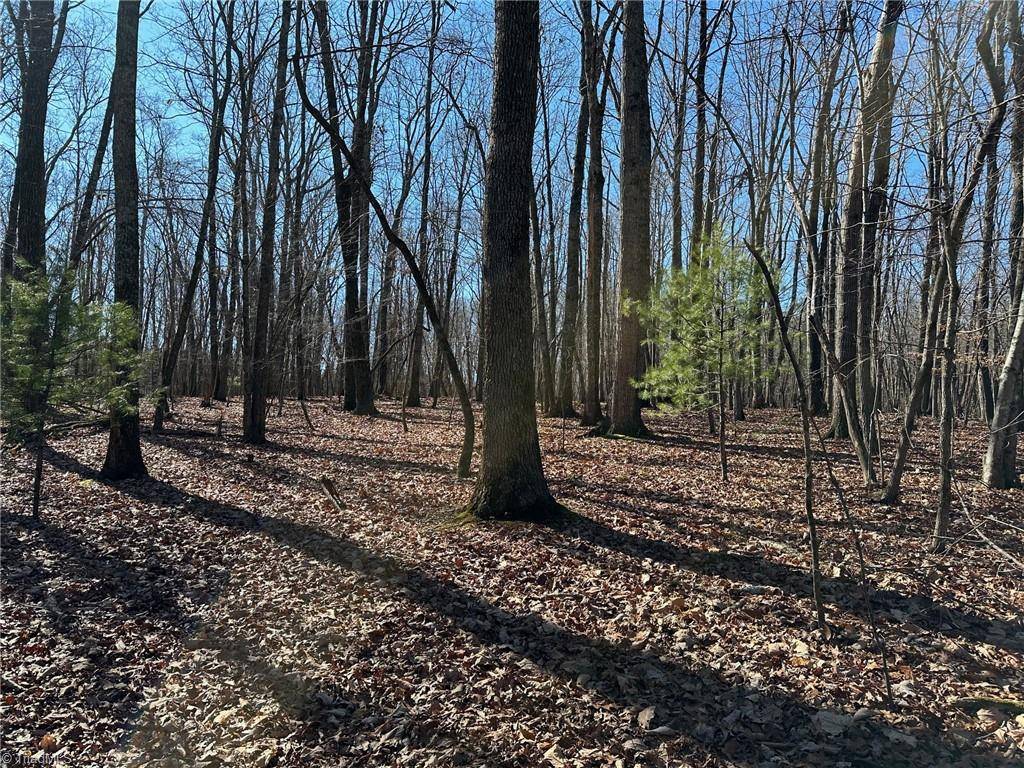 State Road, NC 28676,000 Mount Pleasant Church RD