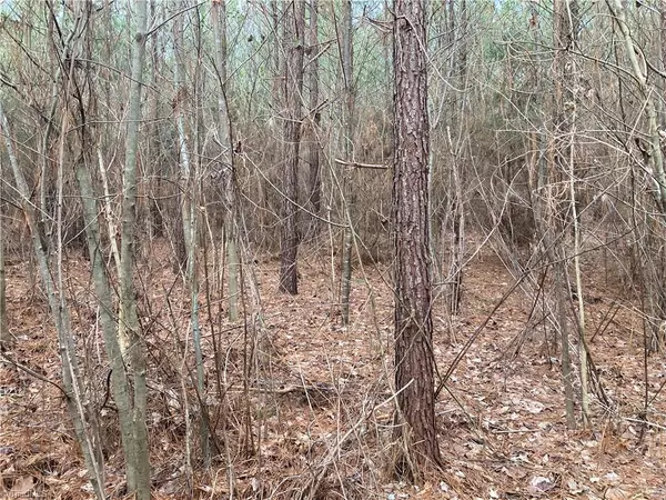 Ramseur, NC 27316,00 Old Siler City RD