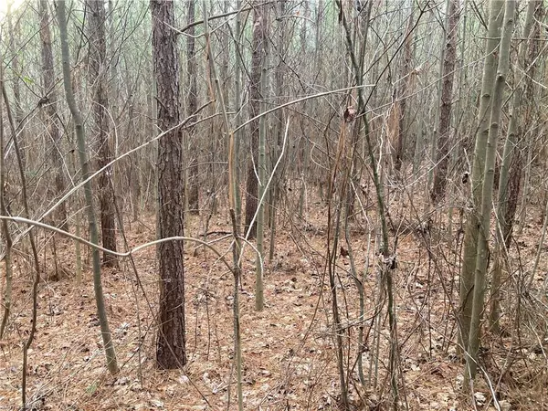 Ramseur, NC 27316,00 Old Siler City RD