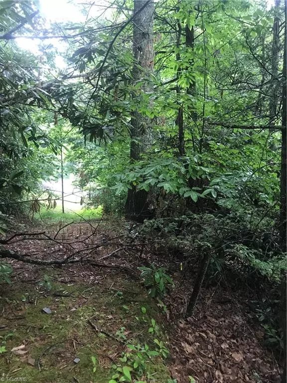 Millers Creek, NC 28651,Lot 12B Vacation WAY