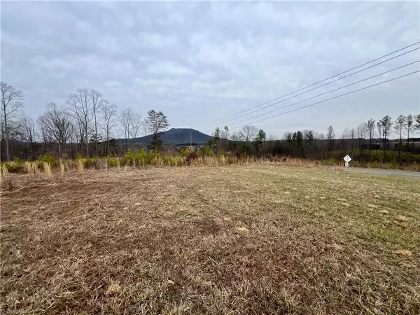 Pinnacle, NC 27043,4Ac Jim McKinney RD