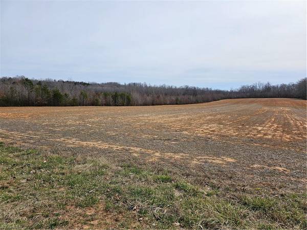 0 Sells Farm RD, Kernersville, NC 27284