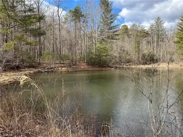 Millers Creek, NC 28651,3431 Vannoy RD