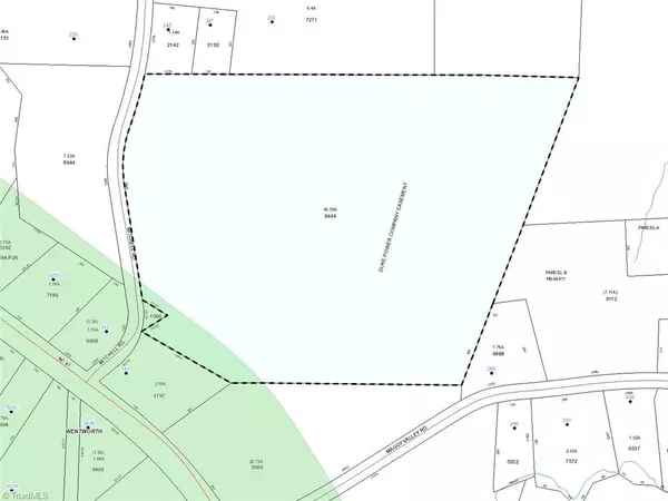 Reidsville, NC 27320,40.72 AC Mitchell RD