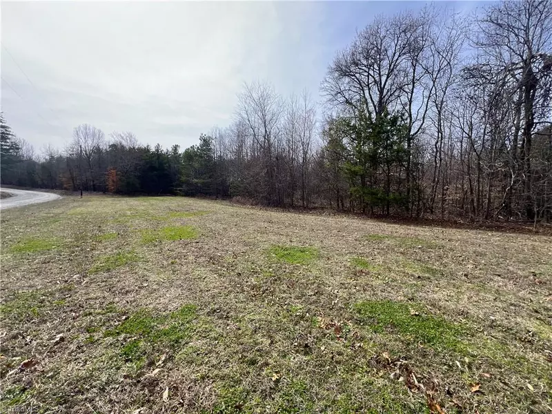 7.02 AC Mitchell RD, Reidsville, NC 27320