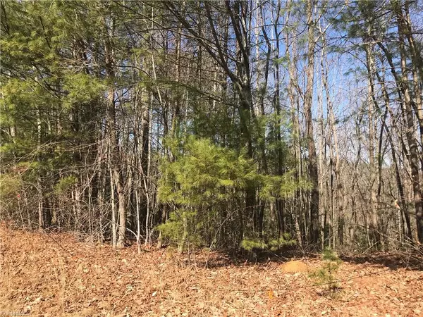 Millers Creek, NC 28651,TBD N NC Highway 16