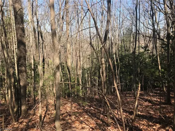 Millers Creek, NC 28651,TBD N NC Highway 16