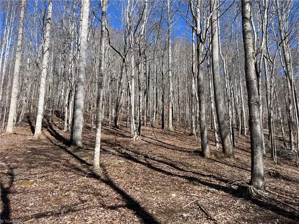 Boone, NC 28607,TBD (Lot 3) Poplar Forest DR