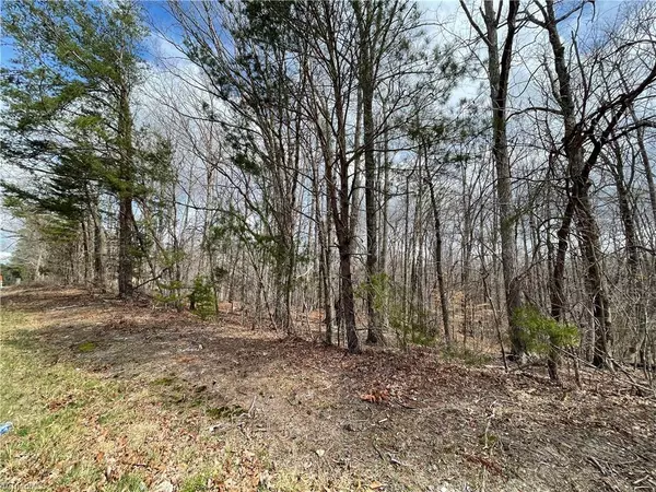 Snow Camp, NC 27349,00 Bass Mountain RD