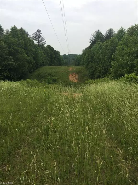 North Wilkesboro, NC 28659,Tract 5/A River Rd Liberty Grove RD