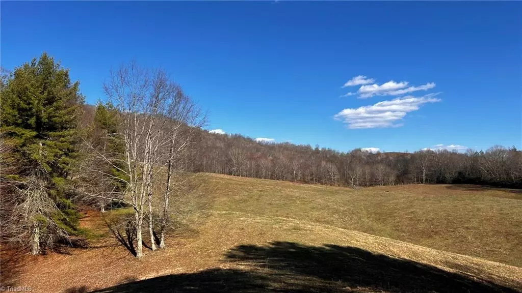 Creston, NC 28615,1266 Flatwoods School RD