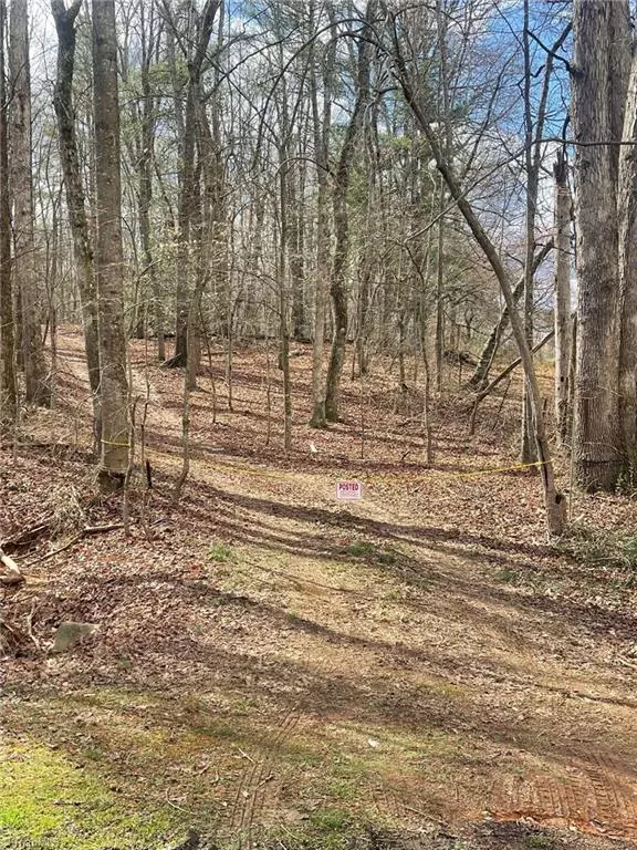 State Road, NC 28676,TBD Mount Pleasant Church RD