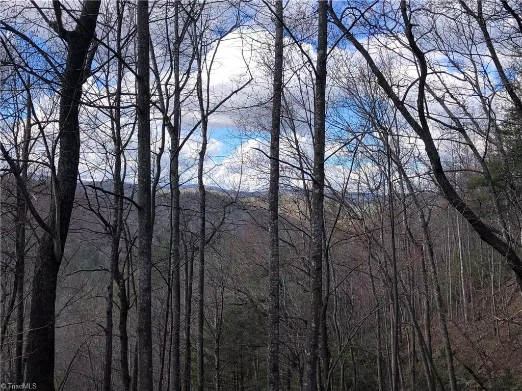 Purlear, NC 28665,Lot 141B Hickory Hollow RD