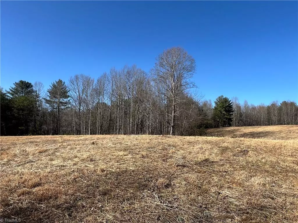 Mount Airy, NC 27030,10 Ac Cedar Ridge RD