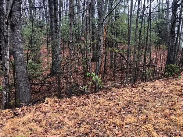 Purlear, NC 28665,Lot 105 Pepper Bush RD