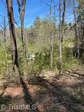 Mcgrady, NC 28649,Lot 189 Blazing Ridge RD