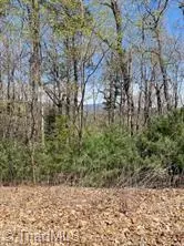 Mcgrady, NC 28649,Lot 189 Blazing Ridge RD