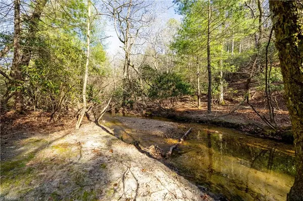 Glade Valley, NC 28627,10 Little Creek LN