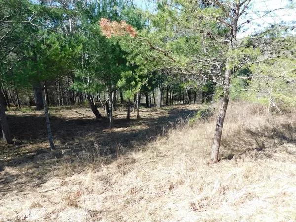 Piney Creek, NC 28663,Lot #54 Rachel WAY