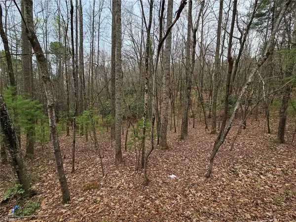 Lowgap, NC 27024,Lot 15 Baldwin DR