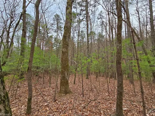 Lowgap, NC 27024,Lot 15 Baldwin DR