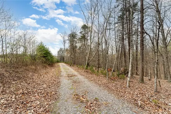 Mayodan, NC 27027,10.12 AC Beaver Creek RD