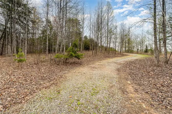 Mayodan, NC 27027,10.12 AC Beaver Creek RD