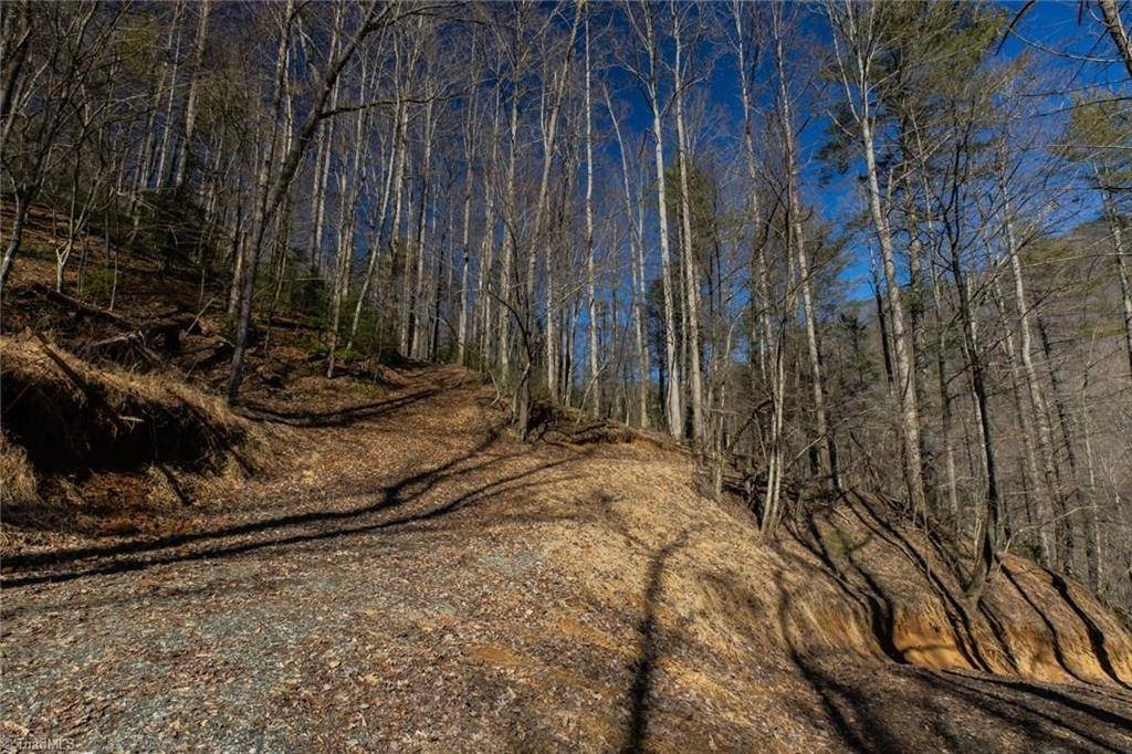 Deep Gap, NC 28618,8076 Elk Creek RD