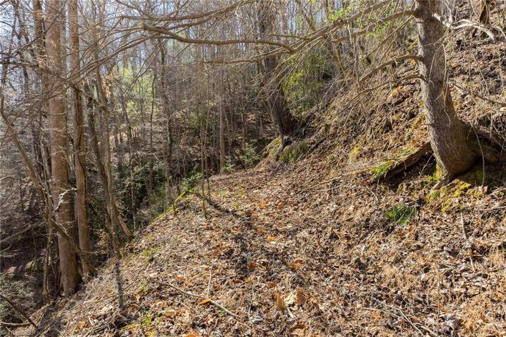Deep Gap, NC 28618,8076 Elk Creek RD