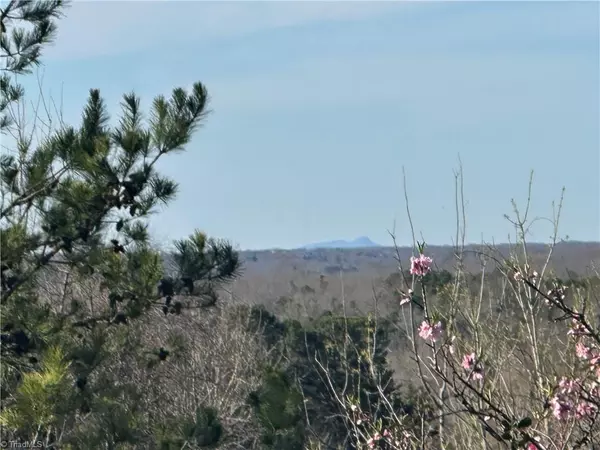 Lexington, NC 27292,3453 Nc Highway 47
