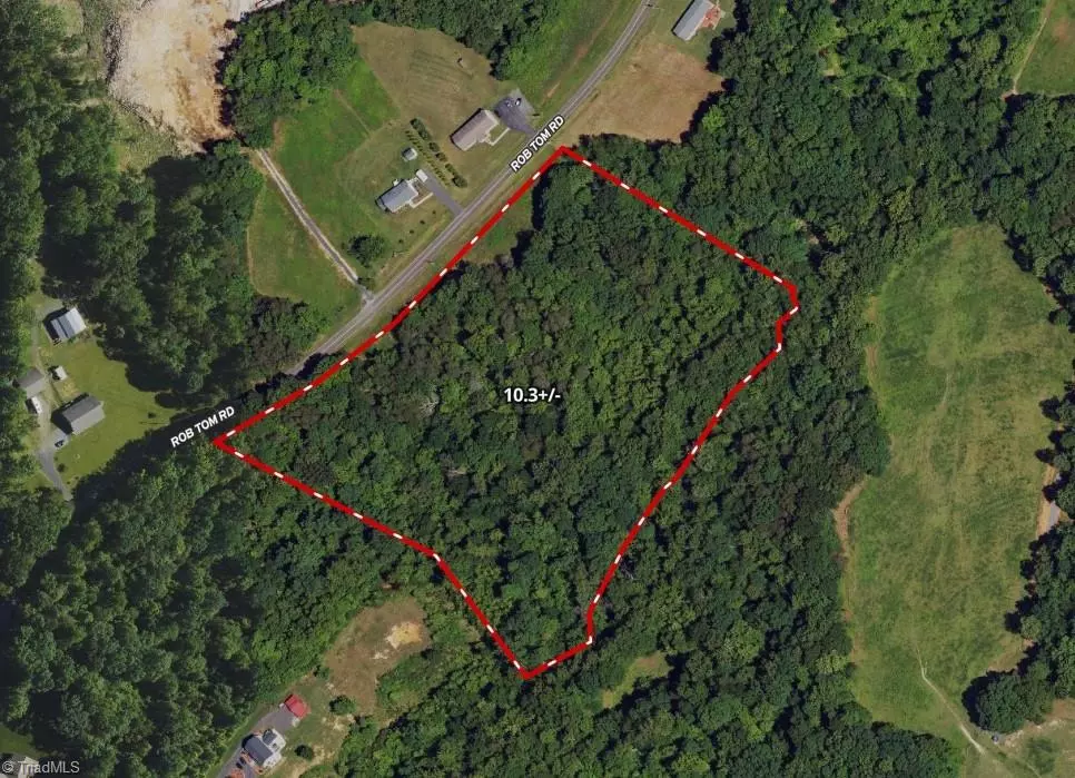 Eden, NC 27288,Tract B Rob Tom RD