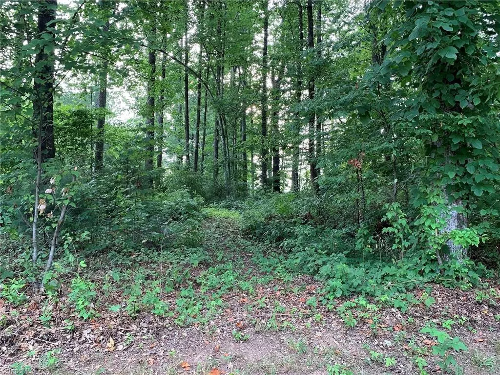 North Wilkesboro, NC 28659,Lot 109 Monk CT