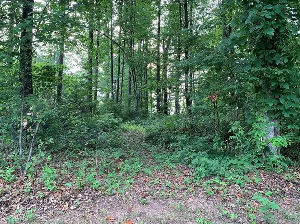 Lot 109 Monk CT, North Wilkesboro, NC 28659