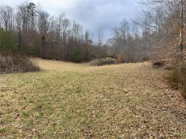 Sophia, NC 27350,4063 Beckerdite RD