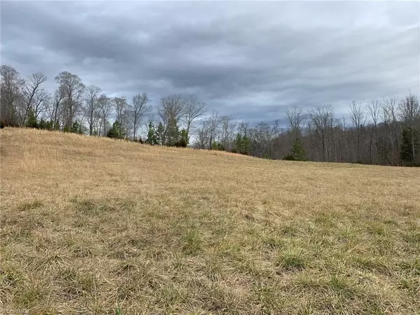 Sophia, NC 27350,4063 Beckerdite RD