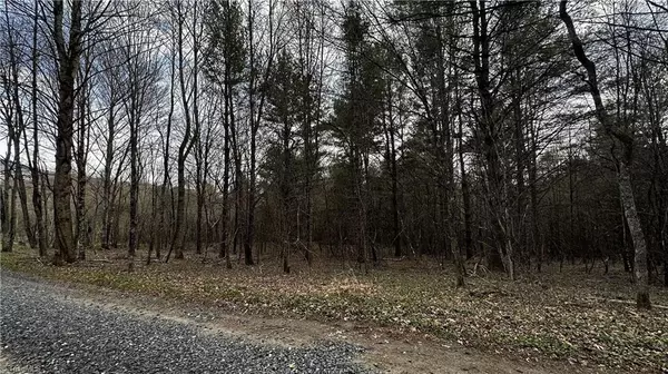 Creston, NC 28615,Address not disclosed