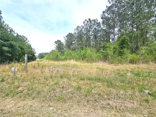 La Grange, NC 28551,xx 54 acres+- Country RD