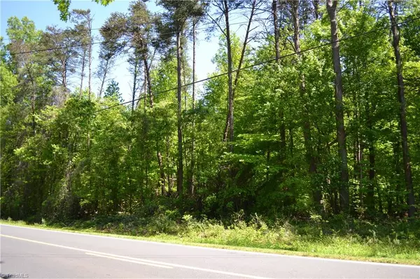 Madison, NC 27025,1 Acre Rierson RD