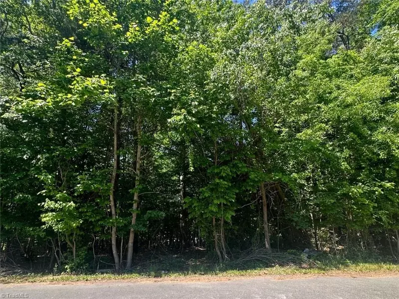 Lot 46 Susanne DR, Haw River, NC 27258