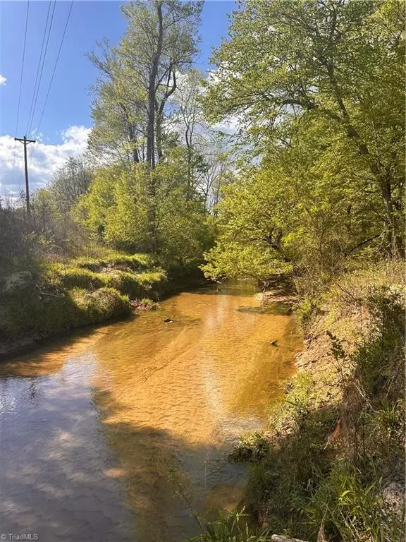 Pilot Mountain, NC 27041,50 Acres Old Westfield RD