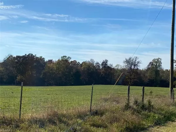 Ramseur, NC 27316,00 Tract 2 Burgess Kivett RD