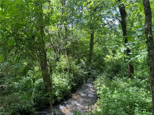 Creston, NC 28615,TBD (Lot 13) River Breeze DR