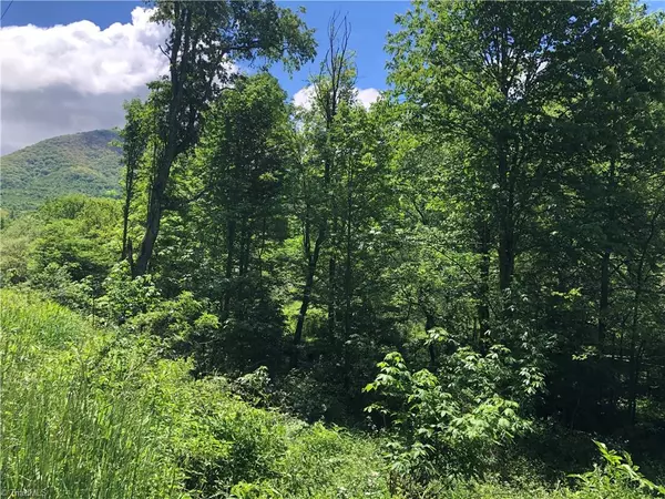 Creston, NC 28615,TBD (Lot 13) River Breeze DR